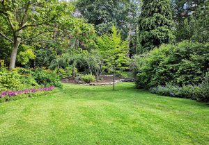 Optimiser l'expérience du jardin à Bethmale