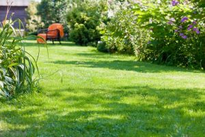 travaux jardin et paysage Bethmale